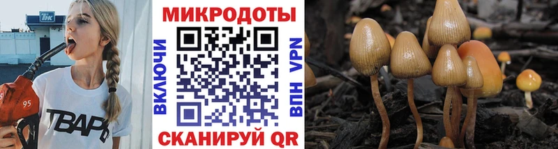 хочу   Белая Холуница  Галлюциногенные грибы Psilocybine cubensis 